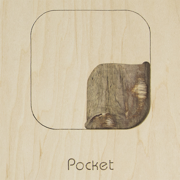 pocket_example_sm.jpg